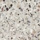 Миниатюра изображения товара Плитка Cersanit Fancy Stone FS4R452D (420x420, многоцветный)