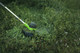 Миниатюра изображения товара Триммер аккумуляторный Greenworks GD40BCB (2105707)