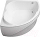 Миниатюра изображения товара Ванна акриловая Aquanet Fregate 120x120