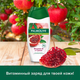 Миниатюра изображения товара Гель для душа Palmolive Натурэль витамин В и гранат (250мл)