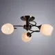 Миниатюра изображения товара Люстра Arte Lamp Arya A2941PL-3AB