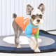 Миниатюра изображения товара Футболка для животных Puppia Rescuer / PAUA-TS1803-OR-M (M, оранжевый)