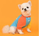 Миниатюра изображения товара Футболка для животных Puppia Rescuer / PAUA-TS1803-OR-M (M, оранжевый)