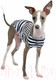Миниатюра изображения товара Футболка для животных Puppia Winona / PAUA-TS1801-NY-M (M, синий)