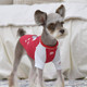 Миниатюра изображения товара Футболка для животных Puppia Sniffer / PAUA-TS1807-RD-L (L, красный)