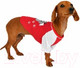 Миниатюра изображения товара Футболка для животных Puppia Sniffer / PAUA-TS1807-RD-L (L, красный)