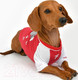 Миниатюра изображения товара Футболка для животных Puppia Sniffer / PAUA-TS1807-RD-L (L, красный)