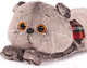 Миниатюра изображения товара Мягкая игрушка Budi Basa Басик Кот-подушка / Kp40-012