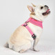 Миниатюра изображения товара Шлея-жилетка для животных Puppia Soft / PAUA-HA1828-PK-XL (розовый/светоотражающий)