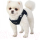 Миниатюра изображения товара Шлея-жилетка для животных Puppia Soft / PAUA-HB1828-BK-S (черный/светоотражающий)
