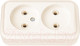 Миниатюра изображения товара Розетка Bylectrica Пралеска РА16-260 (бежевый)