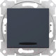 Миниатюра изображения товара Выключатель Schneider Electric Sedna SDN1500170