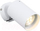 Миниатюра изображения товара Спот ST Luce Fanale SL597.501.01