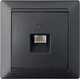 Миниатюра изображения товара Розетка Bylectrica Стиль ТР4-034 (графит)