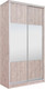 Миниатюра изображения товара Шкаф-купе Рэйгрупп 158450 SSX Elgon РГ-04.01 (сосна натуральная/сосна натуральная/хром)