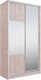 Миниатюра изображения товара Шкаф-купе Рэйгрупп 138450 SSX Elgon РГ-05.06 (сосна натуральная/сосна натуральная/хром)