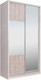 Миниатюра изображения товара Шкаф-купе Рэйгрупп 120450 YSX Elgon РГ-12.06 (ясень снежный/сосна натуральная/хром)