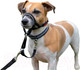 Миниатюра изображения товара Недоуздок Halti Headcollar Size 0 / 11020В (черный)