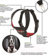 Миниатюра изображения товара Ремень безопасности для собак Halti Clix CarSafe LC03 (L, черный)