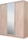 Миниатюра изображения товара Шкаф-купе Рэйгрупп 176450 TTX Elgon РГ-03.02 (дуб торонто/хром)