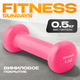 Миниатюра изображения товара Гантель Sundays Fitness IR92005 (0.5кг, розовый)