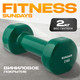 Миниатюра изображения товара Гантель Sundays Fitness IR92005 (2кг, зеленый)
