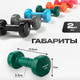 Миниатюра изображения товара Гантель Sundays Fitness IR92005 (2кг, зеленый)
