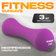 Миниатюра изображения товара Гантель Sundays Fitness IR92004-D (3кг, фиолетовый)