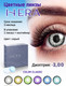 Миниатюра изображения товара Комплект контактных линз Hera Classic Grey Sph-2.00 (2шт)