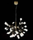 Миниатюра изображения товара Люстра ST Luce Riccardo SL411.203.45