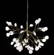 Миниатюра изображения товара Люстра ST Luce Riccardo SL411.203.45
