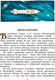 Миниатюра изображения товара Книга АСТ Тайна заброшенного замка (Волков А. М.)