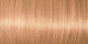 Миниатюра изображения товара Гель-краска для волос L'Oreal Paris Preference 8.3 Канны золотой светло-русый