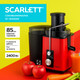 Миниатюра изображения товара Соковыжималка электрическая Scarlett SC-JE50S49