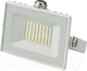 Миниатюра изображения товара Прожектор General Lighting GTAB-30Вт-IP65-6500-W / 403126