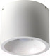 Миниатюра изображения товара Точечный светильник FAVOURITE Reflector 1993-1C