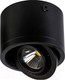 Миниатюра изображения товара Точечный светильник FAVOURITE Reflector 1778-1C