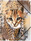 Миниатюра изображения товара Папка для бумаг Erich Krause Wild Cat / 48719