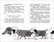 Миниатюра изображения товара Книга Росмэн Умная и знаменитая собачка Соня (Усачев А.)