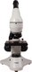 Миниатюра изображения товара Микроскоп оптический Levenhuk Rainbow 50L Plus / 69051 (Moonstone)