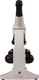 Миниатюра изображения товара Микроскоп оптический Levenhuk Rainbow 50L Plus / 69051 (Moonstone)