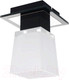 Миниатюра изображения товара Потолочный светильник Lussole Loft Lente GRLSC-2507-01