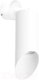 Миниатюра изображения товара Спот Lightstar Rullo RB43636