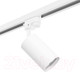 Миниатюра изображения товара Трековый светильник Lightstar Rullo R1T436