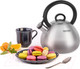 Миниатюра изображения товара Чайник со свистком Rondell Calypso RDS-1307