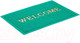 Миниатюра изображения товара Коврик грязезащитный SunStep Spongy Welcome 50x80 / 38-445 (зеленый)