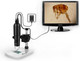 Миниатюра изображения товара Микроскоп цифровой Levenhuk DTX TV 70422