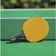 Миниатюра изображения товара Ракетка для настольного тенниса Donic Schildkrot Color Z (желтый)