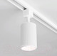 Миниатюра изображения товара Трековый светильник Elektrostandard Spike GU10 MRL 1011 (белый)