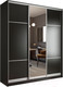 Миниатюра изображения товара Шкаф-купе Евва 233 VS.02 / АЭП ШК.3 01 (венге/хром)